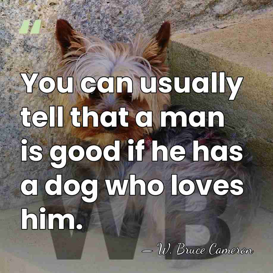 You can usually tell that a man is good if he has&hellip; - W. Bruce Cameron