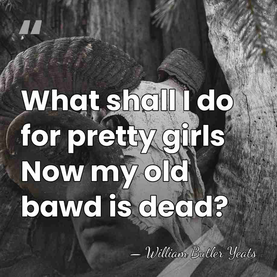What shall I do for pretty girls Now my old bawd is&hellip; - William Butler Yeats