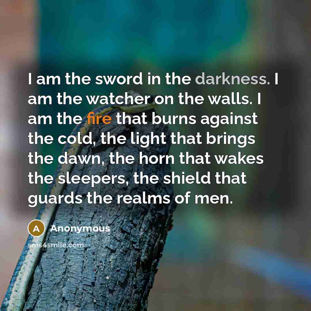“I am the sword in the darkness. I am the…” quote by Anonymous
