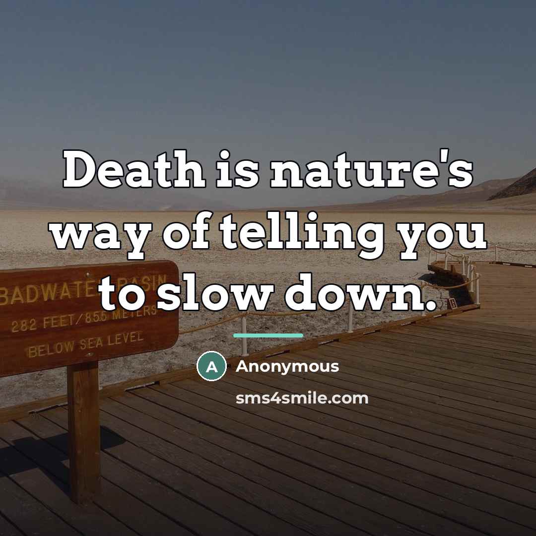 “Death is nature's way of telling you to slow down.…” quote by Anonymous