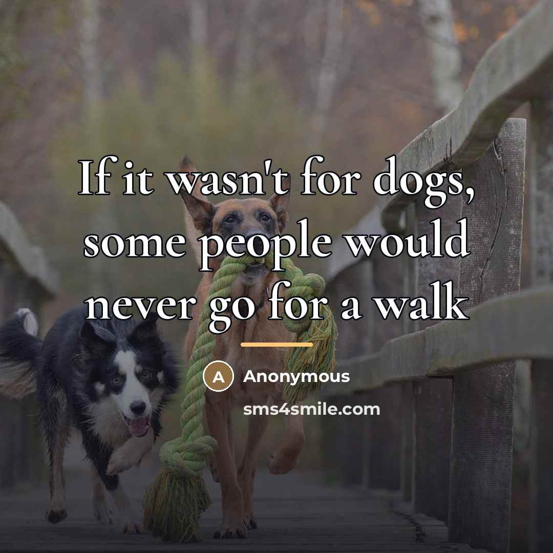 “If it wasn't for dogs, some people would never go…” quote by Anonymous