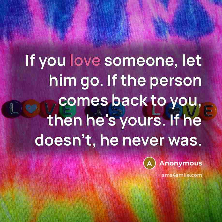 “If you love someone, let him go. If the person comes back to you, then he's yours. If he doesn't, he never was.” quote by Anonymous