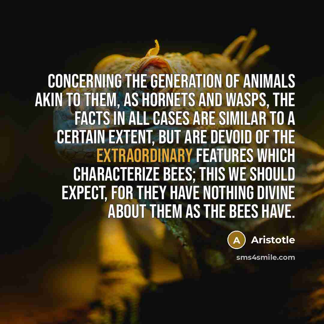 “Concerning the generation of animals akin to them, as hornets…” quote by Aristotle