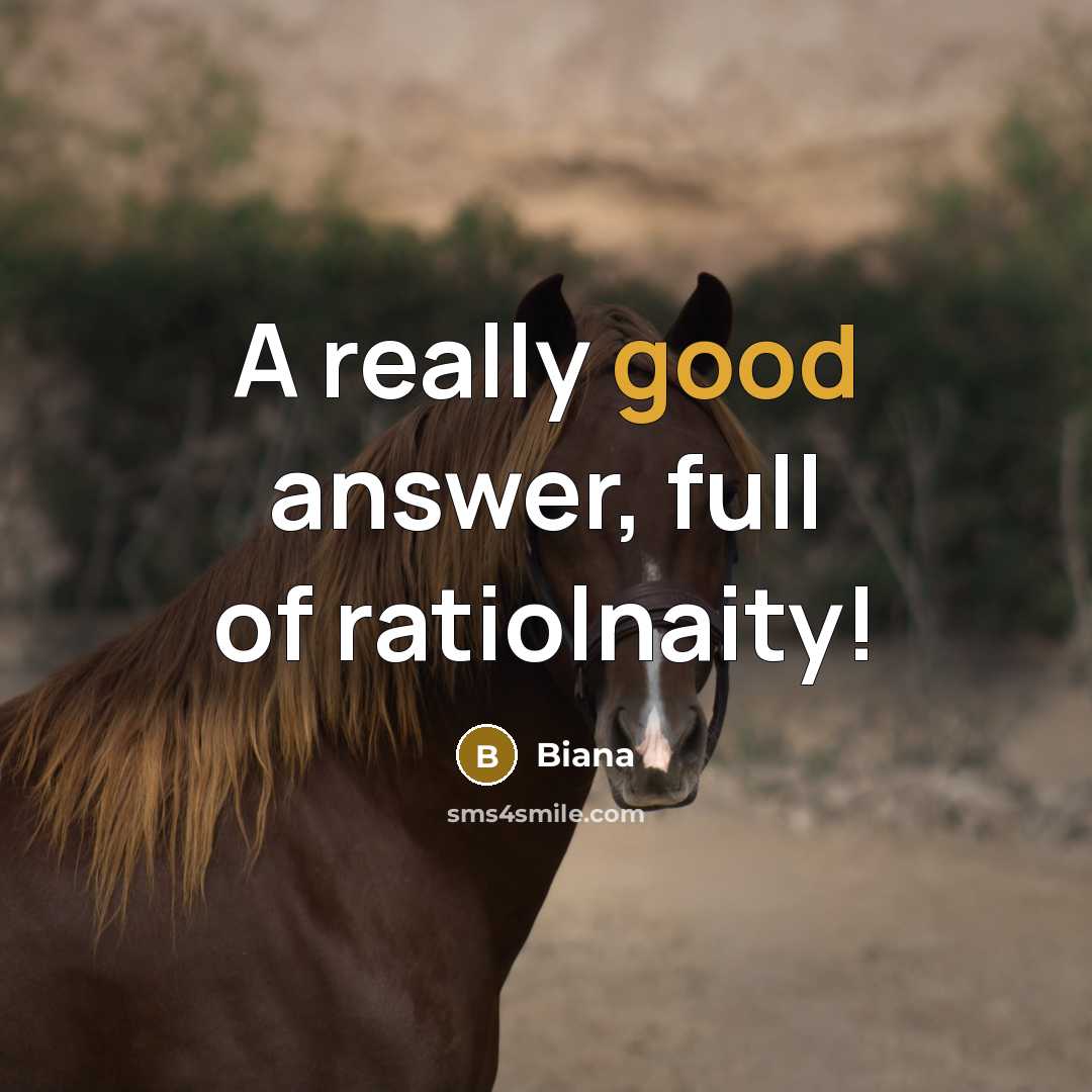“A really good answer, full of ratiolnaity!” quote by Biana