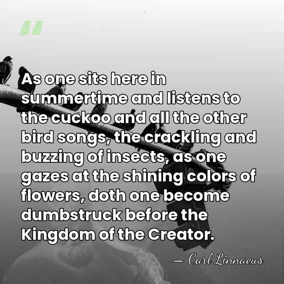 As one sits here in summertime and listens to the cuckoo and&hellip; - Carl Linnaeus