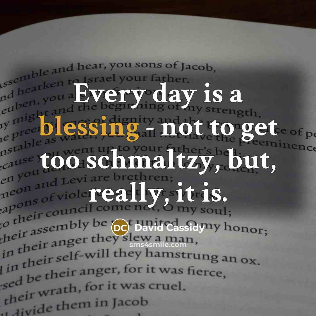 “Every day is a blessing - not to get too…” quote by David Cassidy