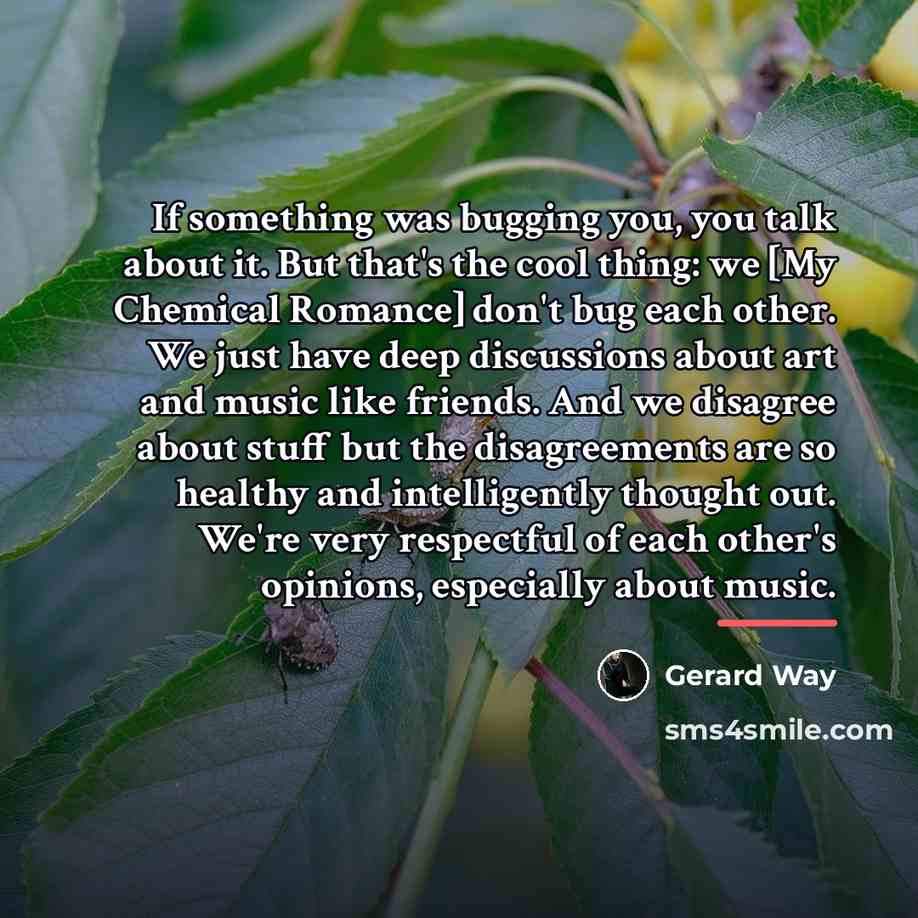 “If something was bugging you, you talk about it. But…” quote by Gerard Way
