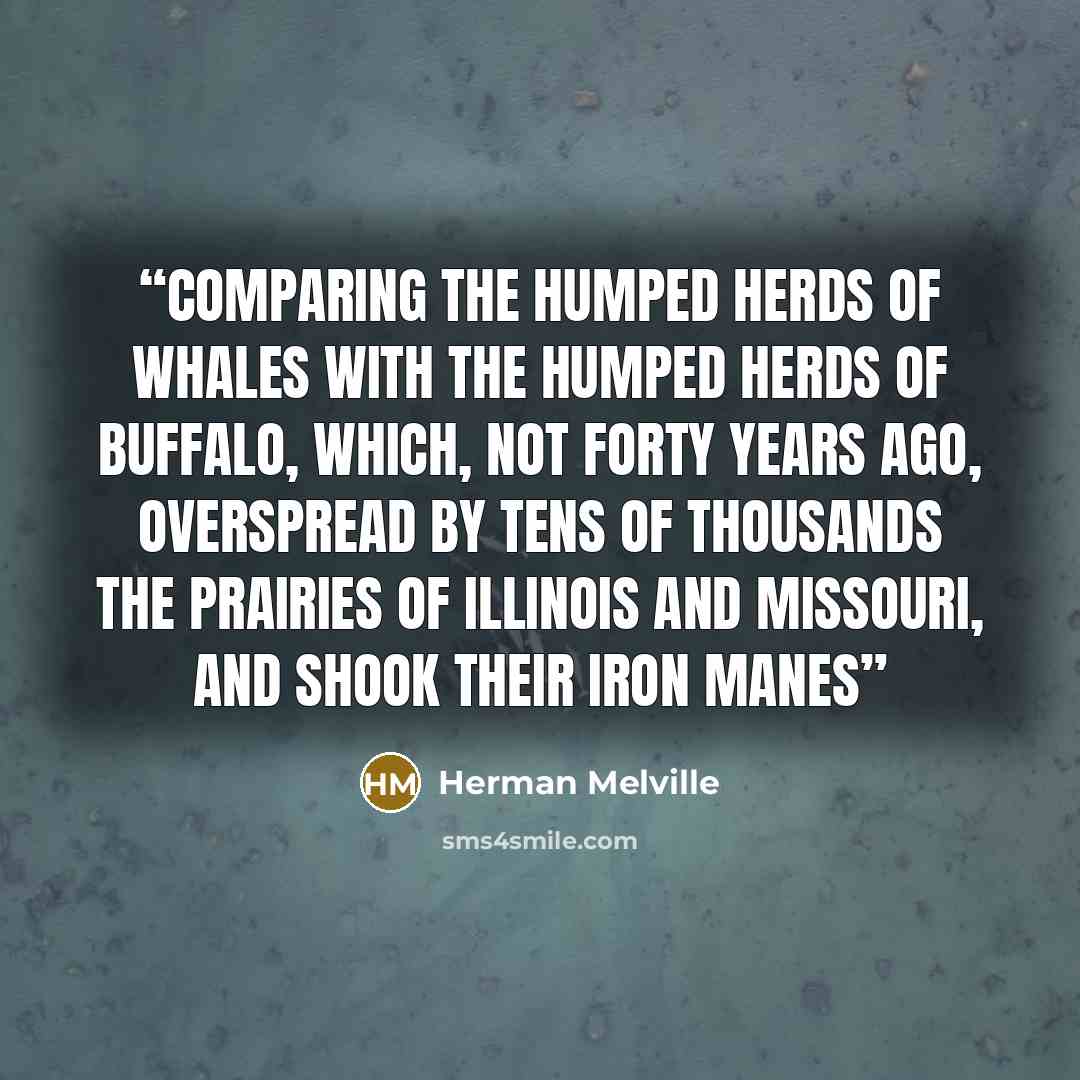 “Comparing the humped herds of whales with the humped herds of buffalo, which, not forty years ago, overspread by tens of thousands the prairies of Illinois and Missouri, and shook their iron manes” quote by Herman Melville
