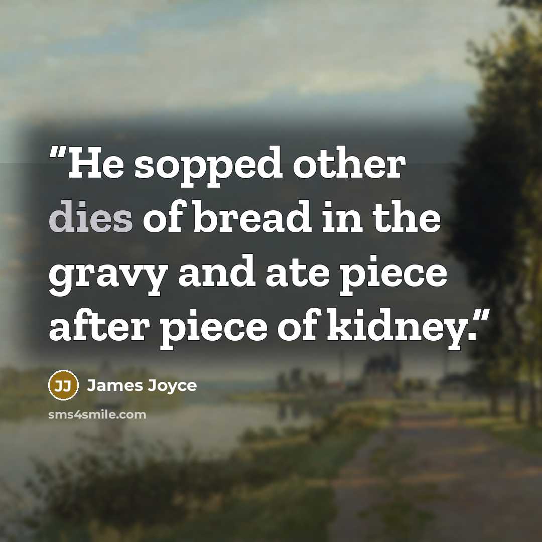 “He sopped other dies of bread in the gravy and ate piece after piece of kidney.” quote by James Joyce
