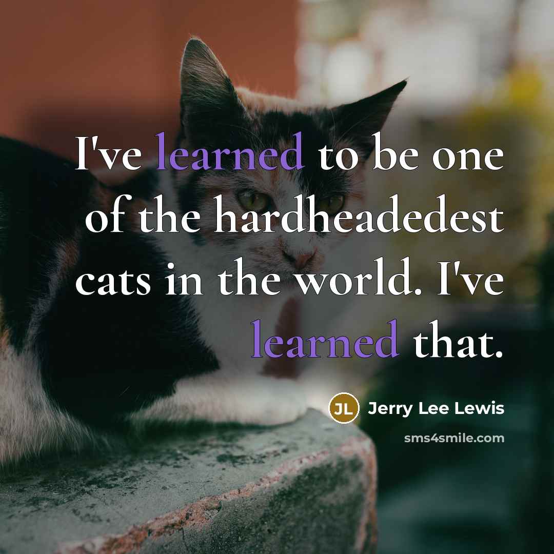 “I've learned to be one of the hardheadedest cats in…” quote by Jerry Lee Lewis