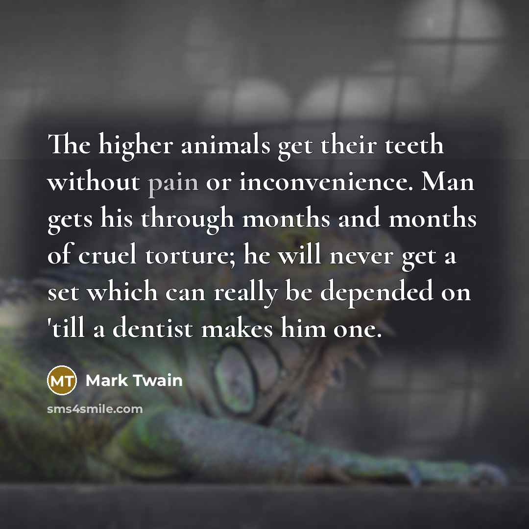 “The higher animals get their teeth without pain or inconvenience.…” quote by Mark Twain