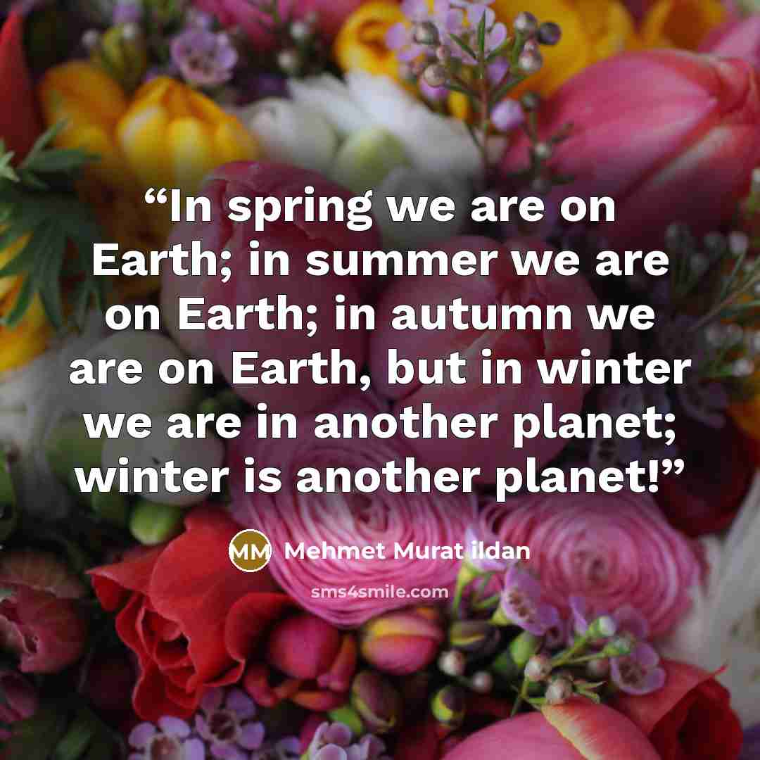 “In spring we are on Earth; in summer we are on Earth; in autumn we are on Earth, but in winter we are in another planet; winter is another planet!” quote by Mehmet Murat ildan