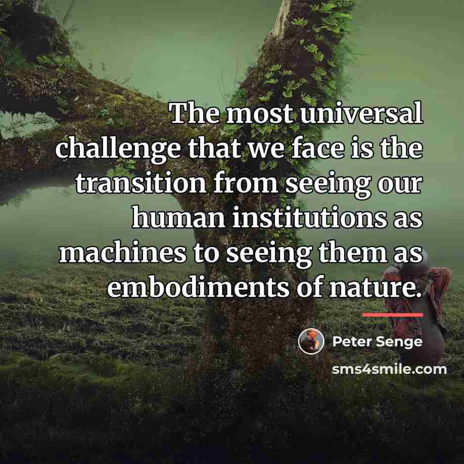 “The most universal challenge that we face is the transition…” quote by Peter Senge