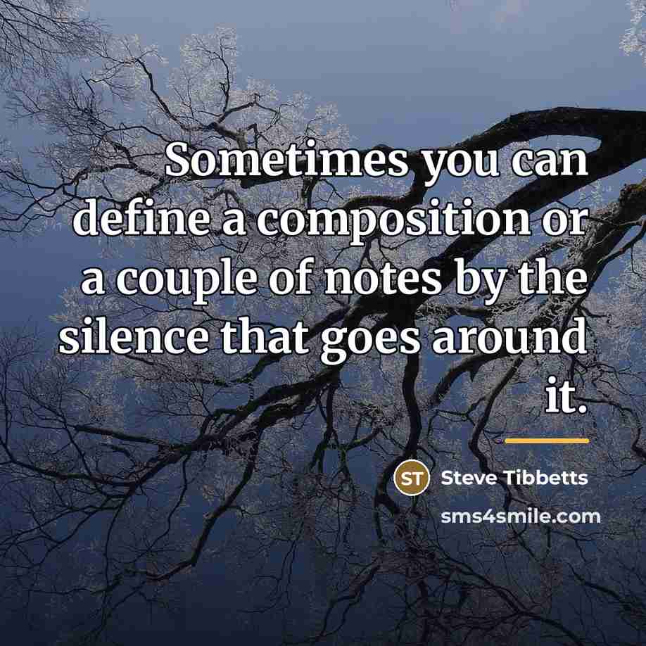 “Sometimes you can define a composition or a couple of…” quote by Steve Tibbetts