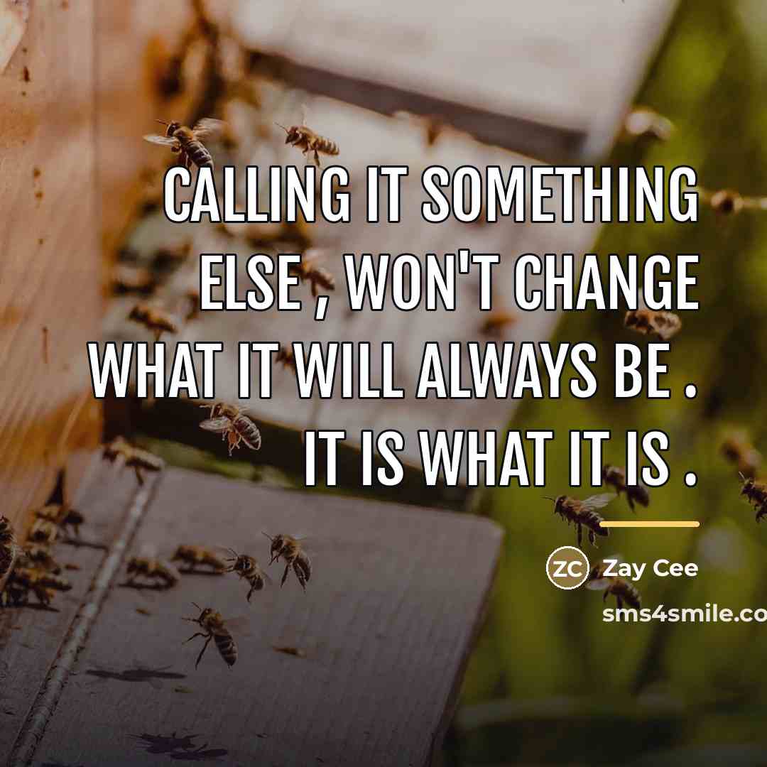 “Calling it something else , won't change what it will…” quote by Zay Cee
