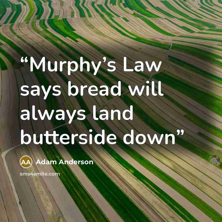 “Murphy’s Law says bread will always land butterside down” quote by Adam Anderson