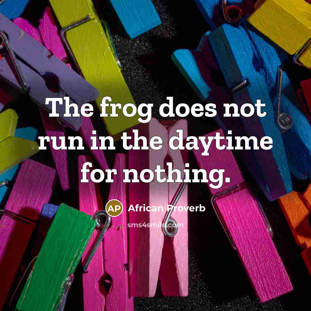 “The frog does not run in the daytime for nothing.…” quote by African Proverb