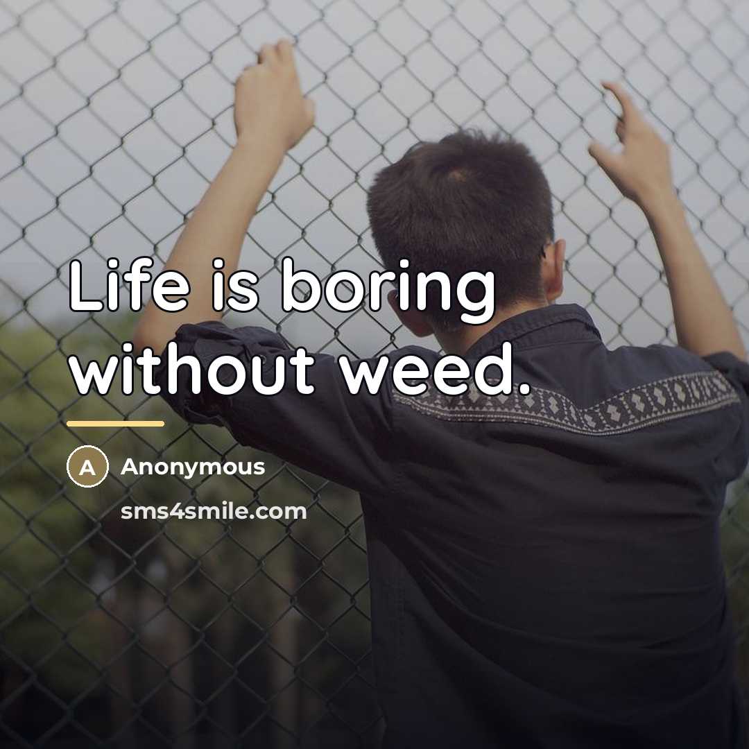 “Life is boring without weed.…” quote by Anonymous