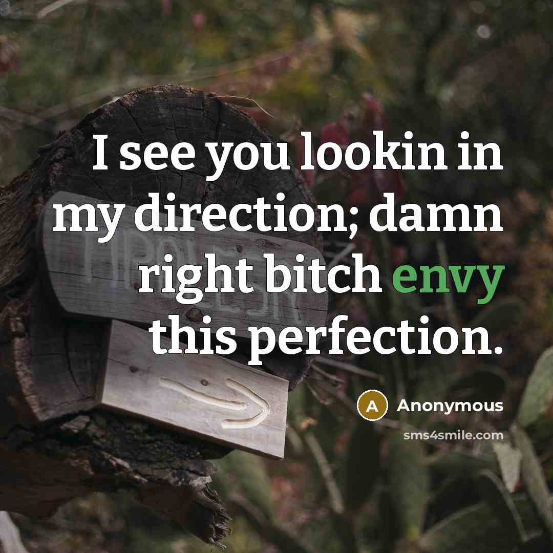 “I see you lookin in my direction; damn right bitch…” quote by Anonymous