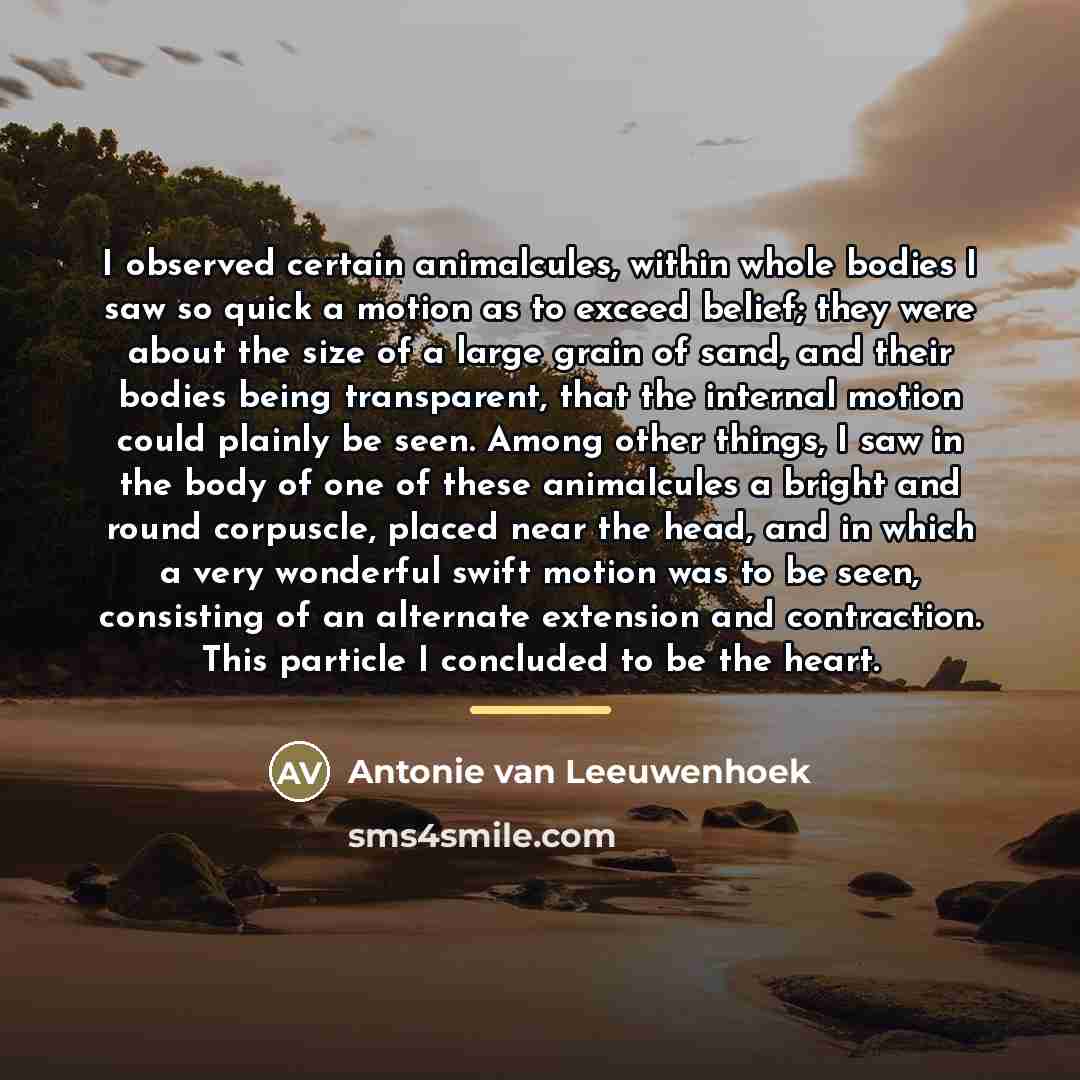“I observed certain animalcules, within whole bodies I saw so…” quote by Antonie van Leeuwenhoek