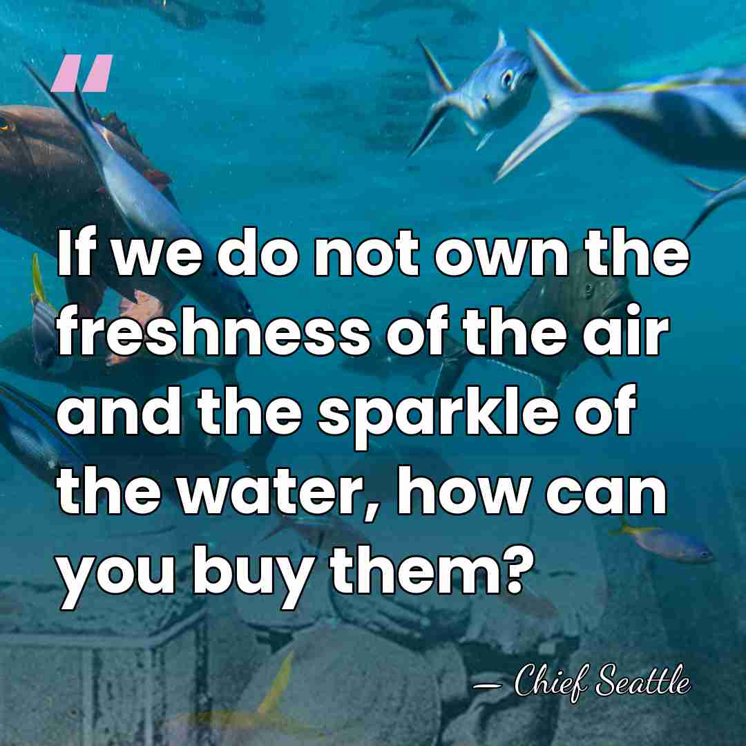 If we do not own the freshness of the air and the&hellip; - Chief Seattle