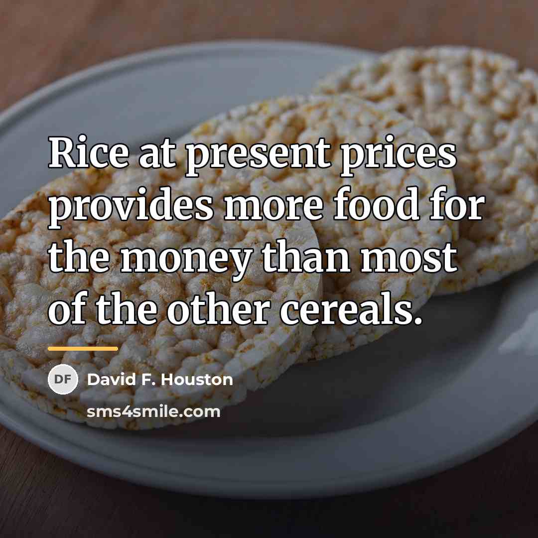 “Rice at present prices provides more food for the money…” quote by David F. Houston