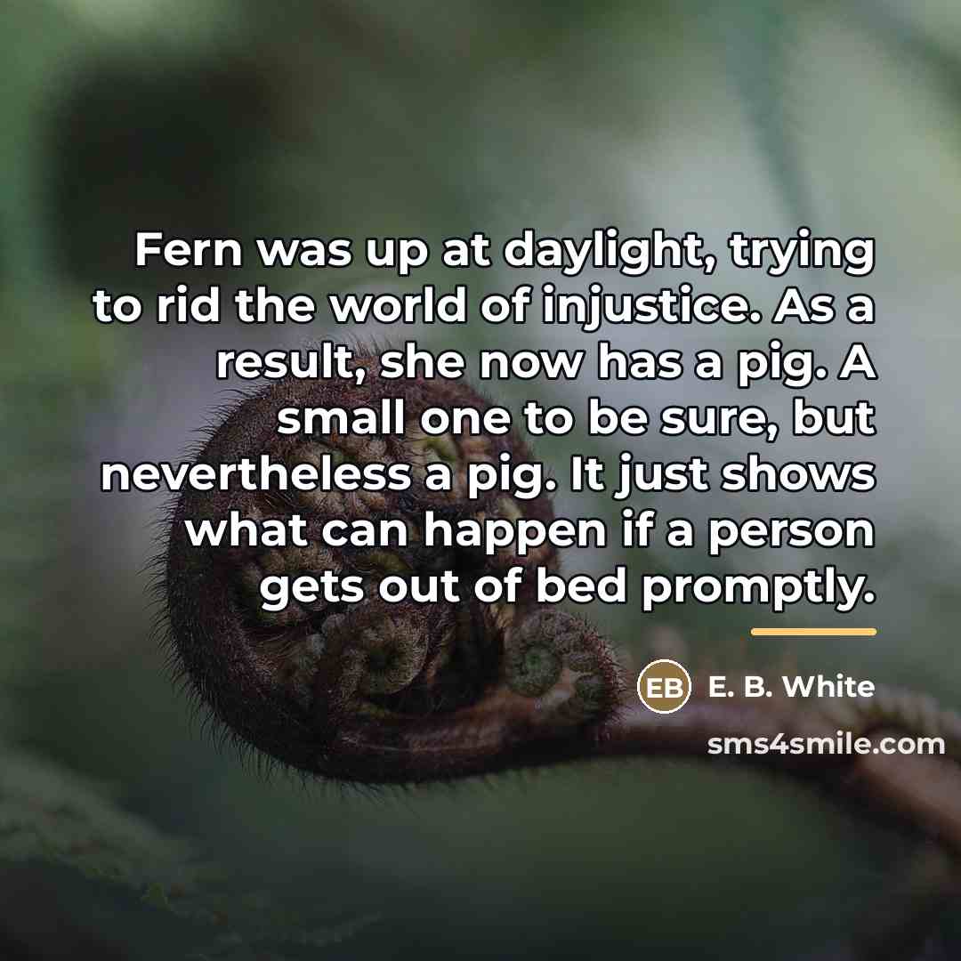 “Fern was up at daylight, trying to rid the world…” quote by E. B. White