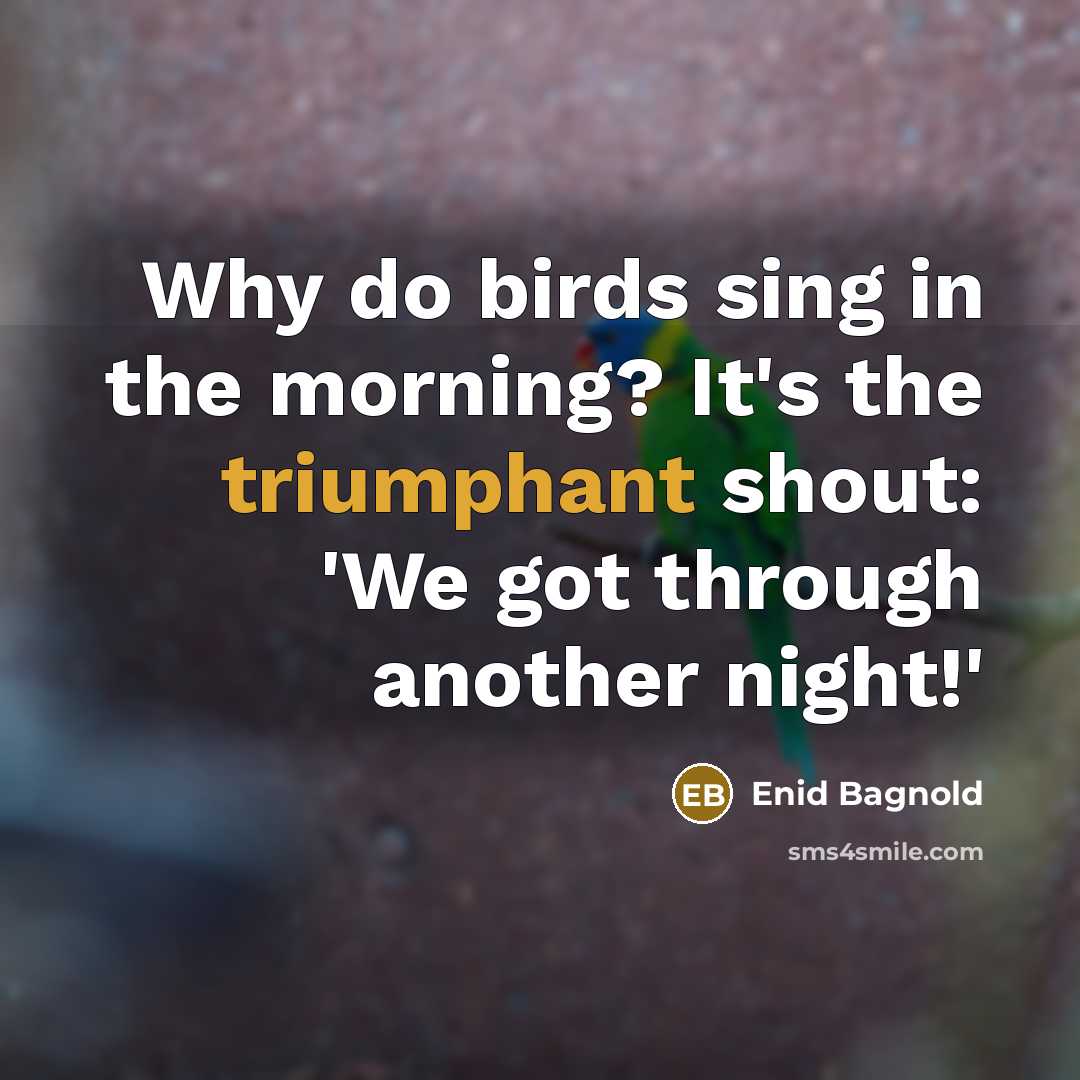 “Why do birds sing in the morning? It's the triumphant…” quote by Enid Bagnold