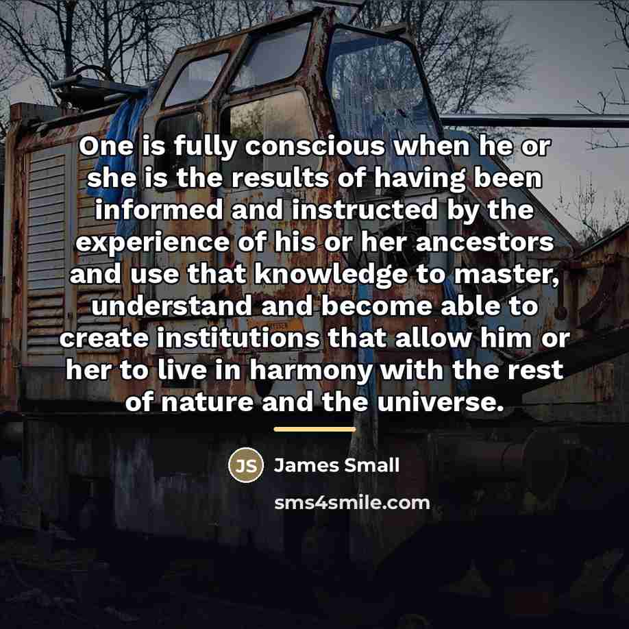 “One is fully conscious when he or she is the…” quote by James Small