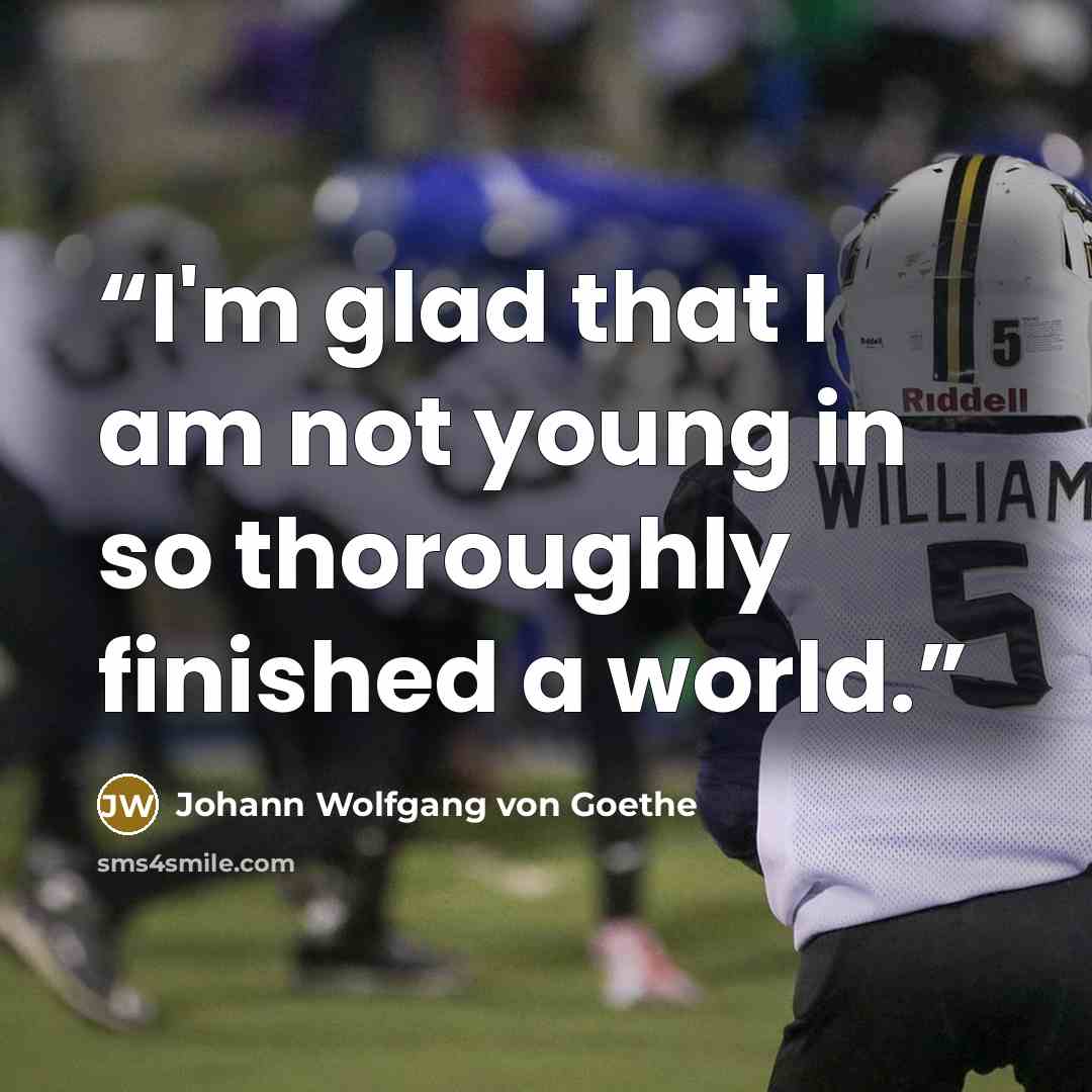 “I'm glad that I am not young in so thoroughly finished a world.” quote by Johann Wolfgang von Goethe