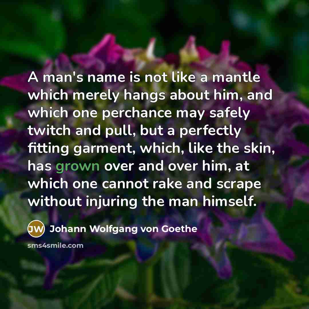“A man's name is not like a mantle which merely hangs about him, and which one perchance may safely twitch and pull, but a perfectly fitting garment, which, like the skin, has grown over and over him, at which one cannot rake and scrape without injuring the man himself.” quote by Johann Wolfgang Von Goethe