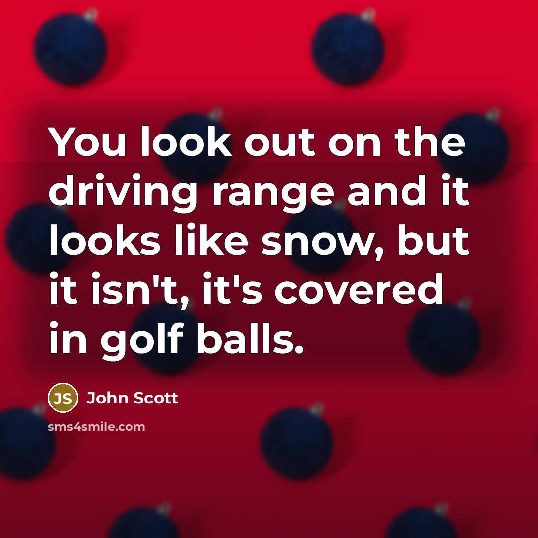 “You look out on the driving range and it looks…” quote by John Scott