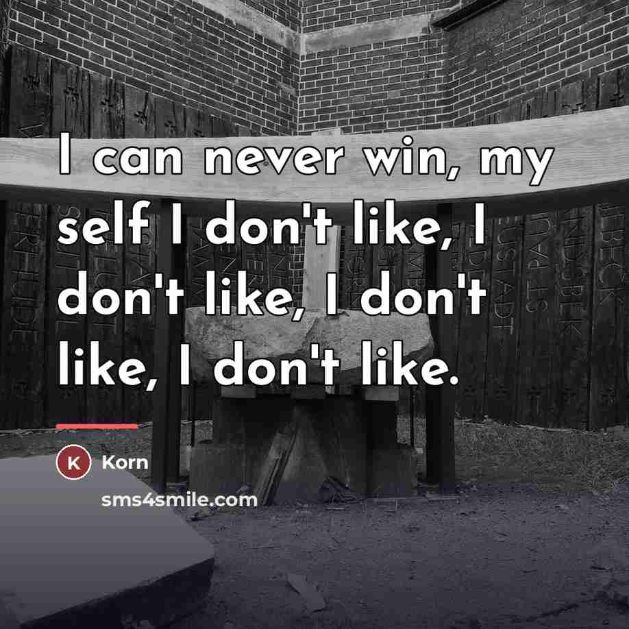 “I can never win, my self I don't like, I…” quote by Korn