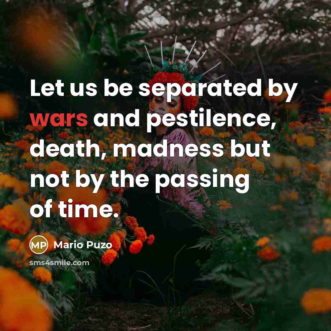 “Let us be separated by wars and pestilence, death, madness…” quote by Mario Puzo