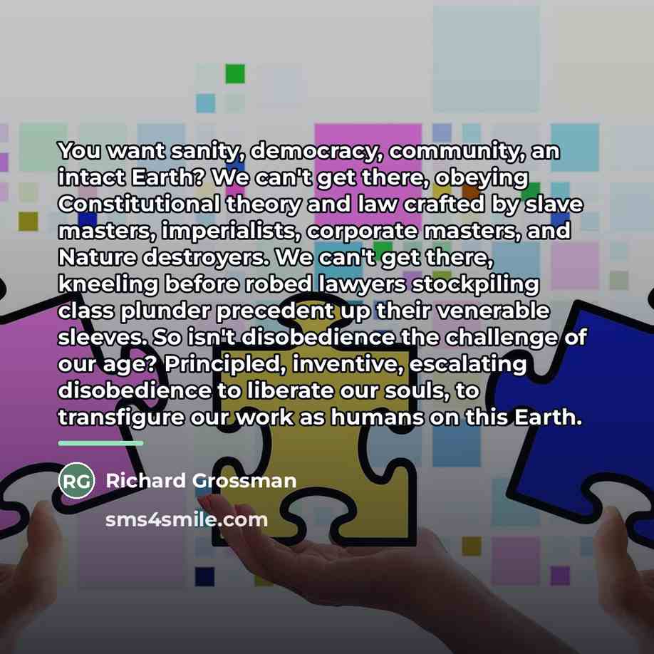“You want sanity, democracy, community, an intact Earth? We can't…” quote by Richard Grossman