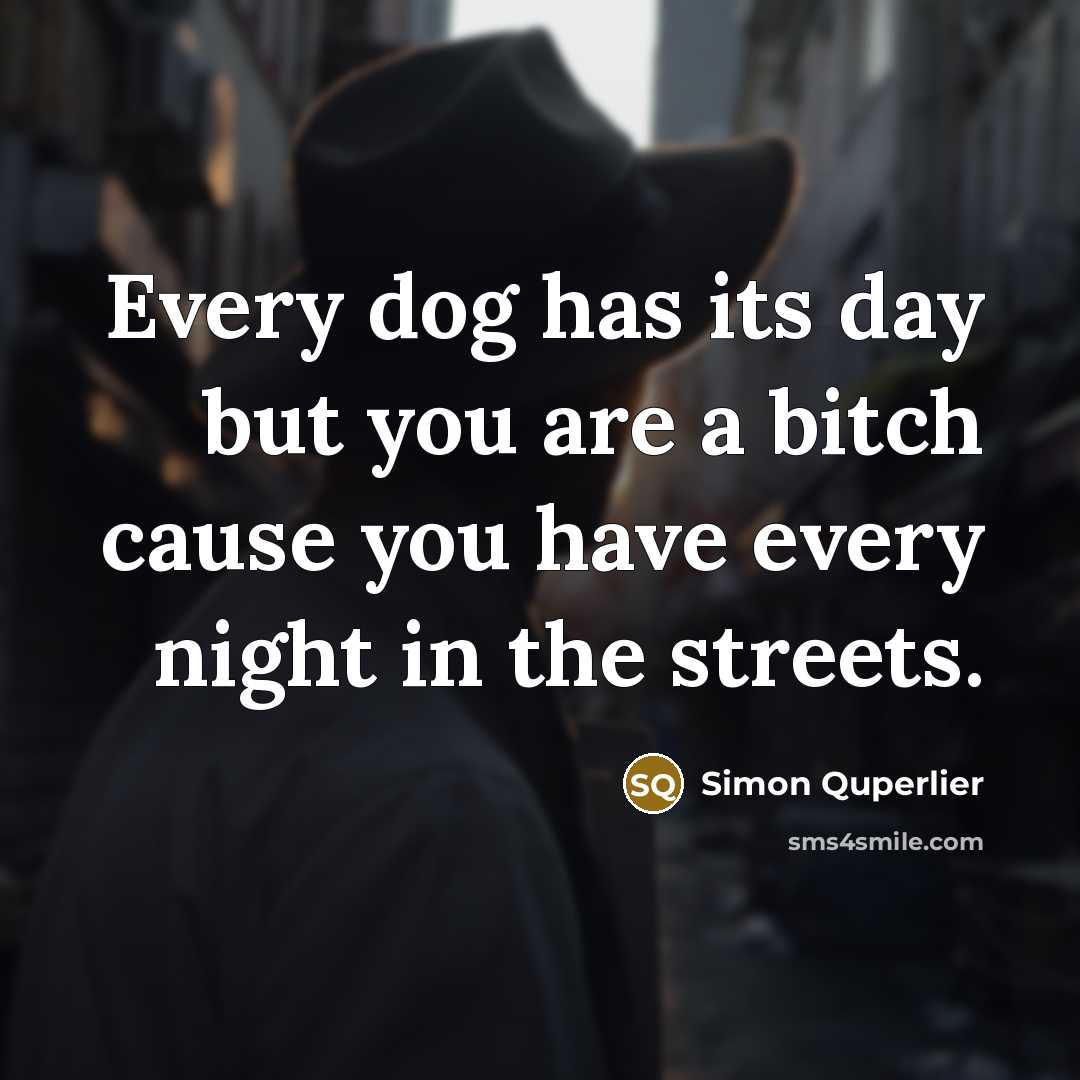 “Every dog has its day but you are a bitch…” quote by Simon Quperlier
