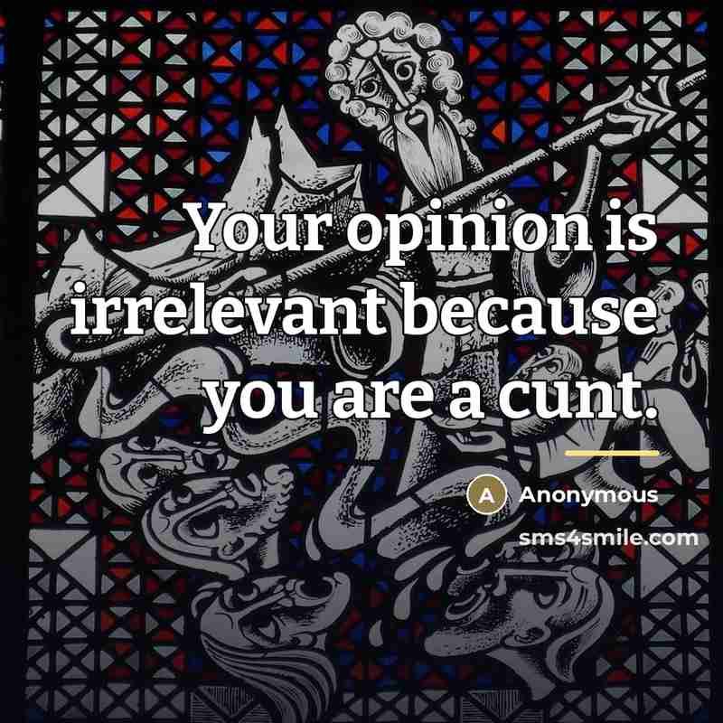 “Your opinion is irrelevant because you are a cunt.…” quote by Anonymous