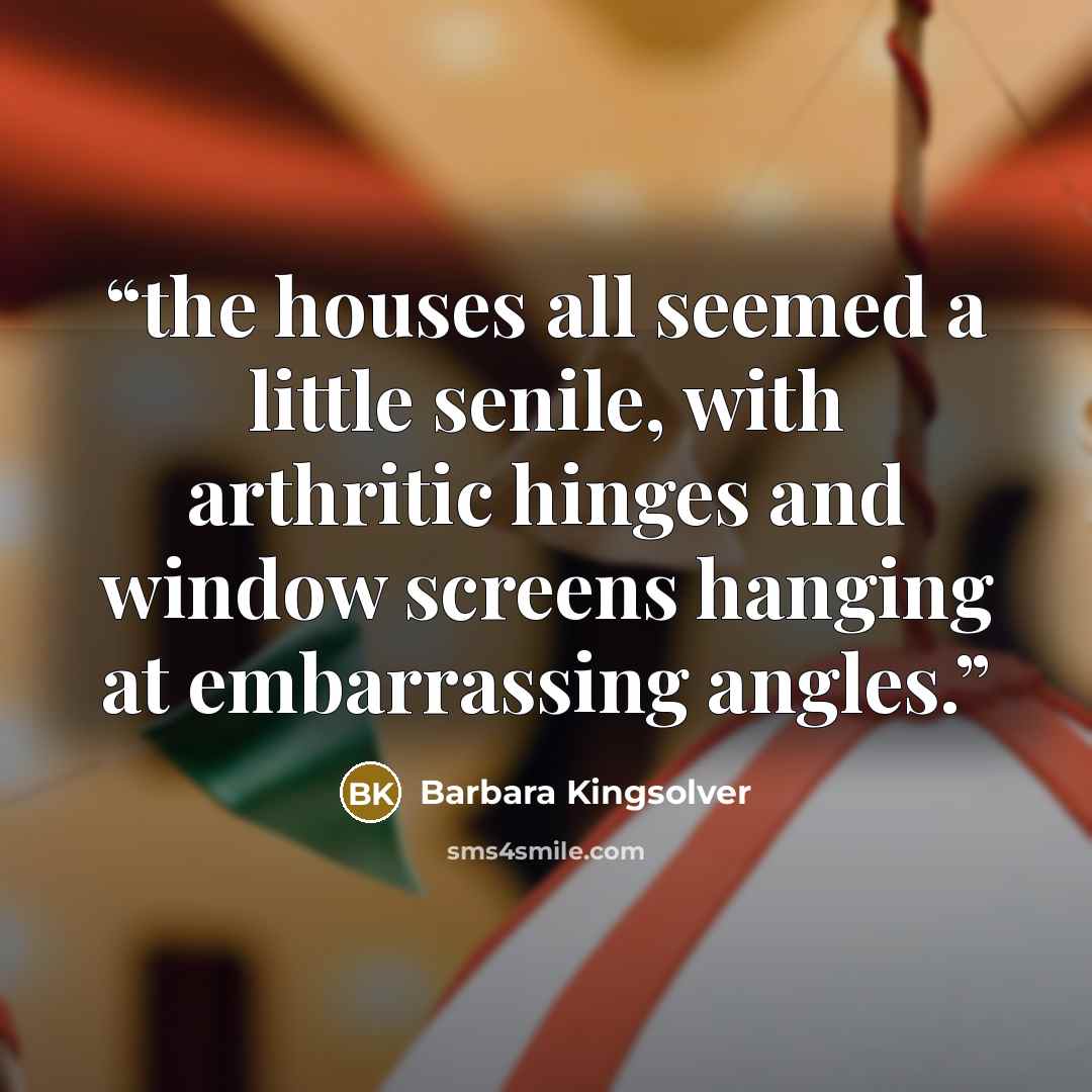 “the houses all seemed a little senile, with arthritic hinges and window screens hanging at embarrassing angles.” quote by Barbara Kingsolver