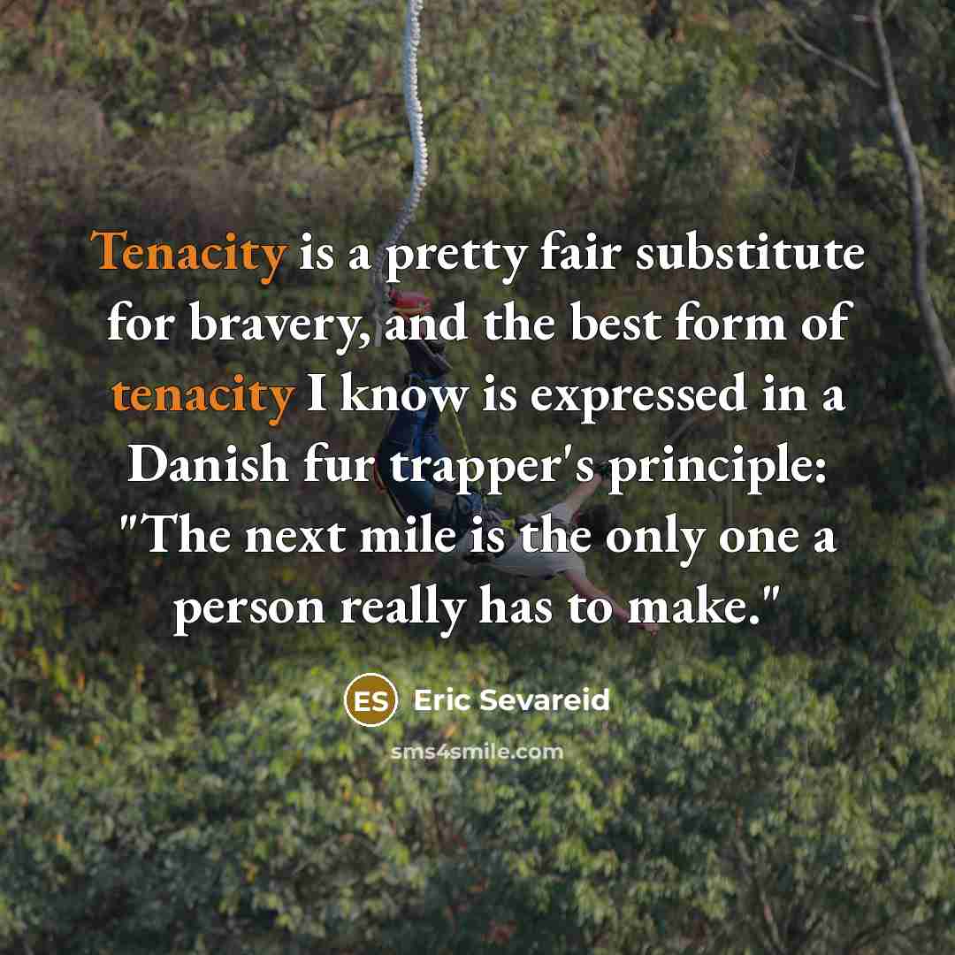 “Tenacity is a pretty fair substitute for bravery, and the…” quote by Eric Sevareid