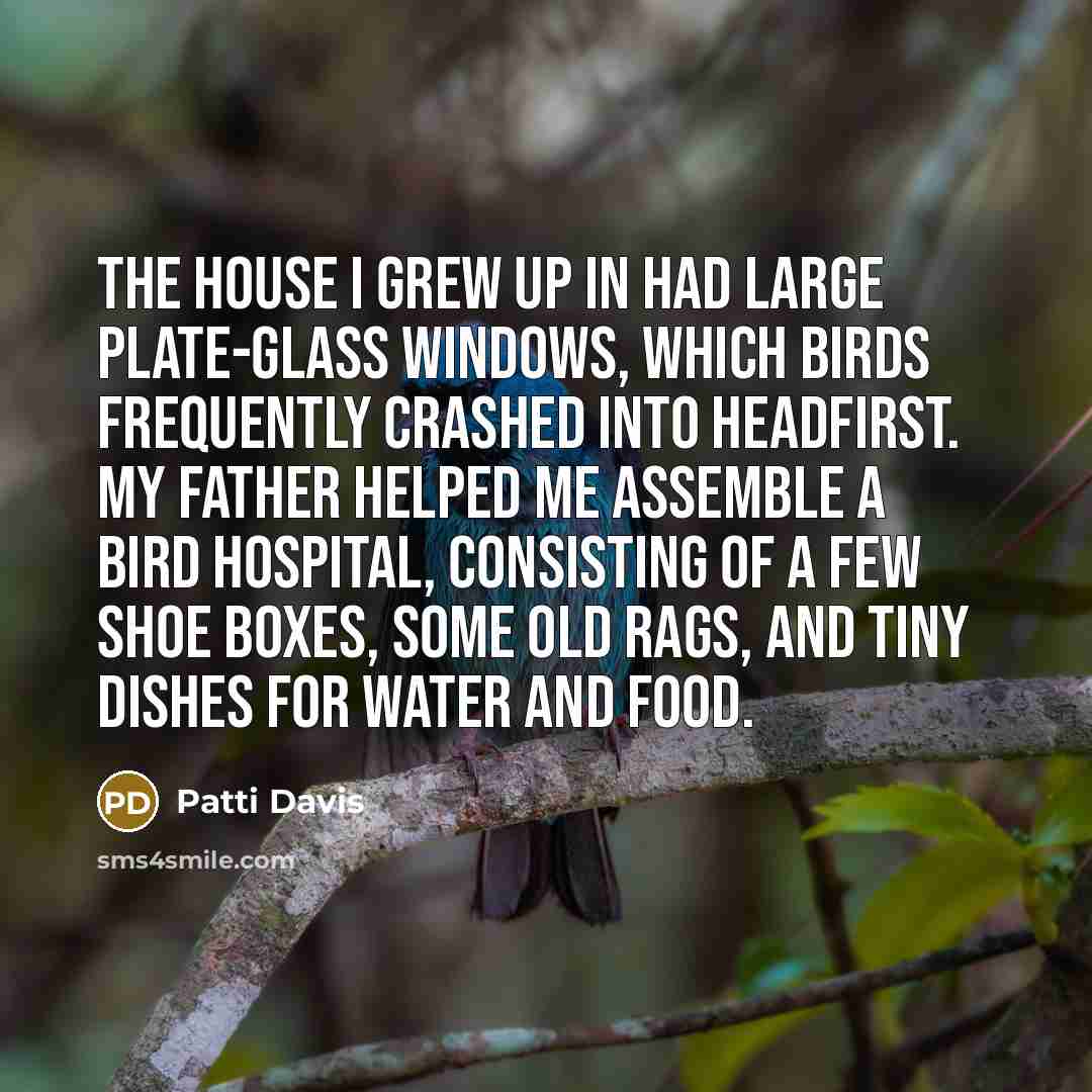 “The house I grew up in had large plate-glass windows,…” quote by Patti Davis