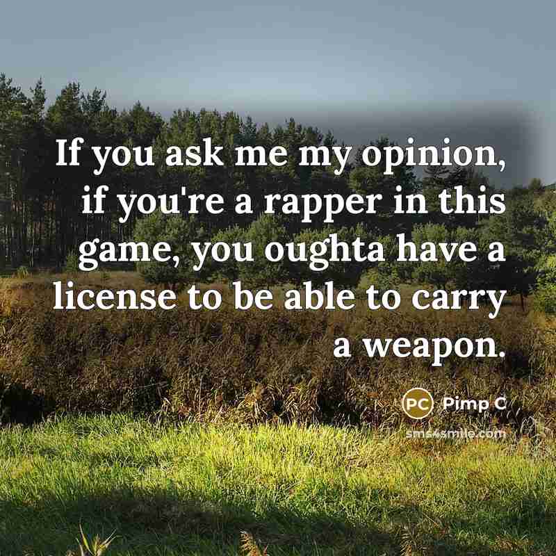 “If you ask me my opinion, if you're a rapper…” quote by Pimp C