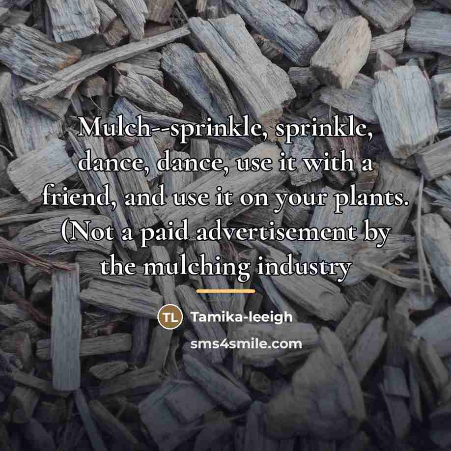 “Mulch--sprinkle, sprinkle, dance, dance, use it with a friend, and…” quote by Tamika-leeigh
