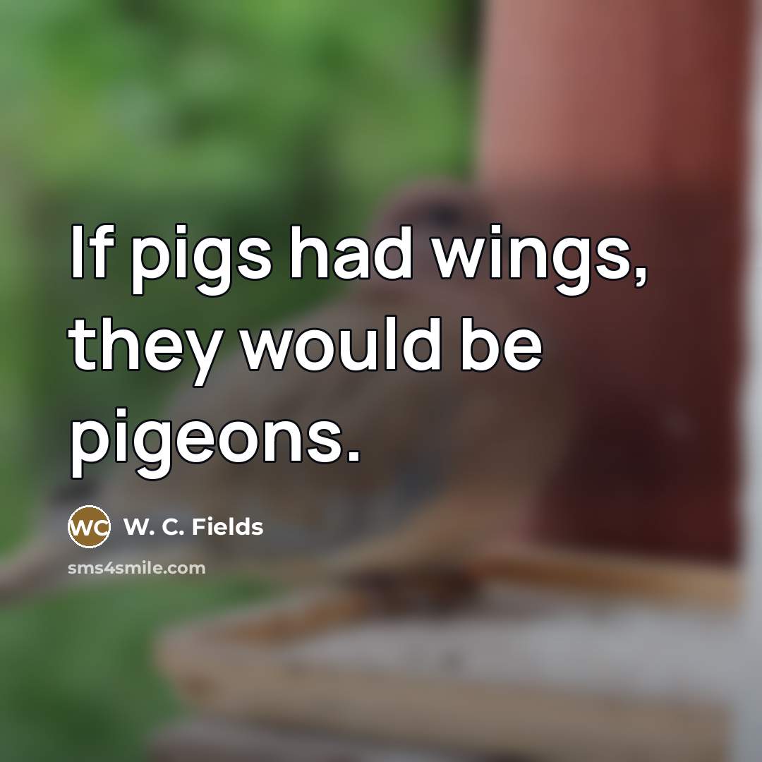 “If pigs had wings, they would be pigeons.…” quote by W. C. Fields