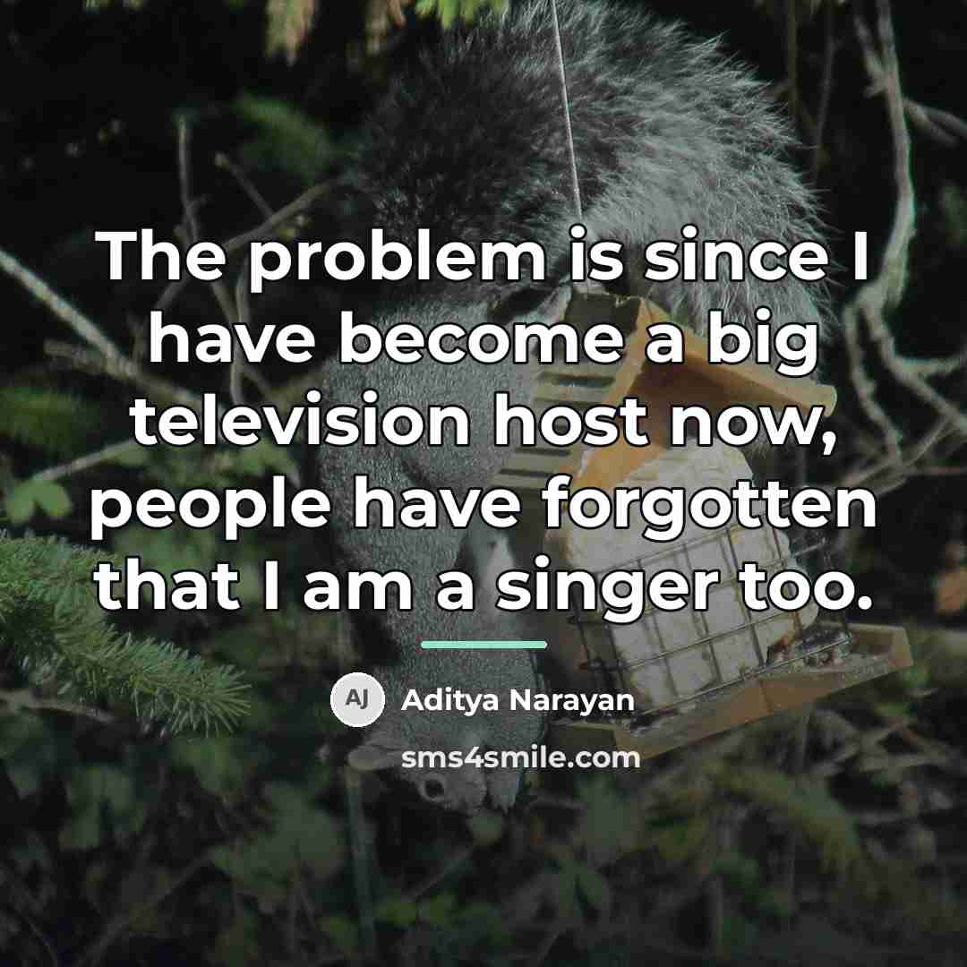 “The problem is since I have become a big television…” quote by Aditya Narayan
