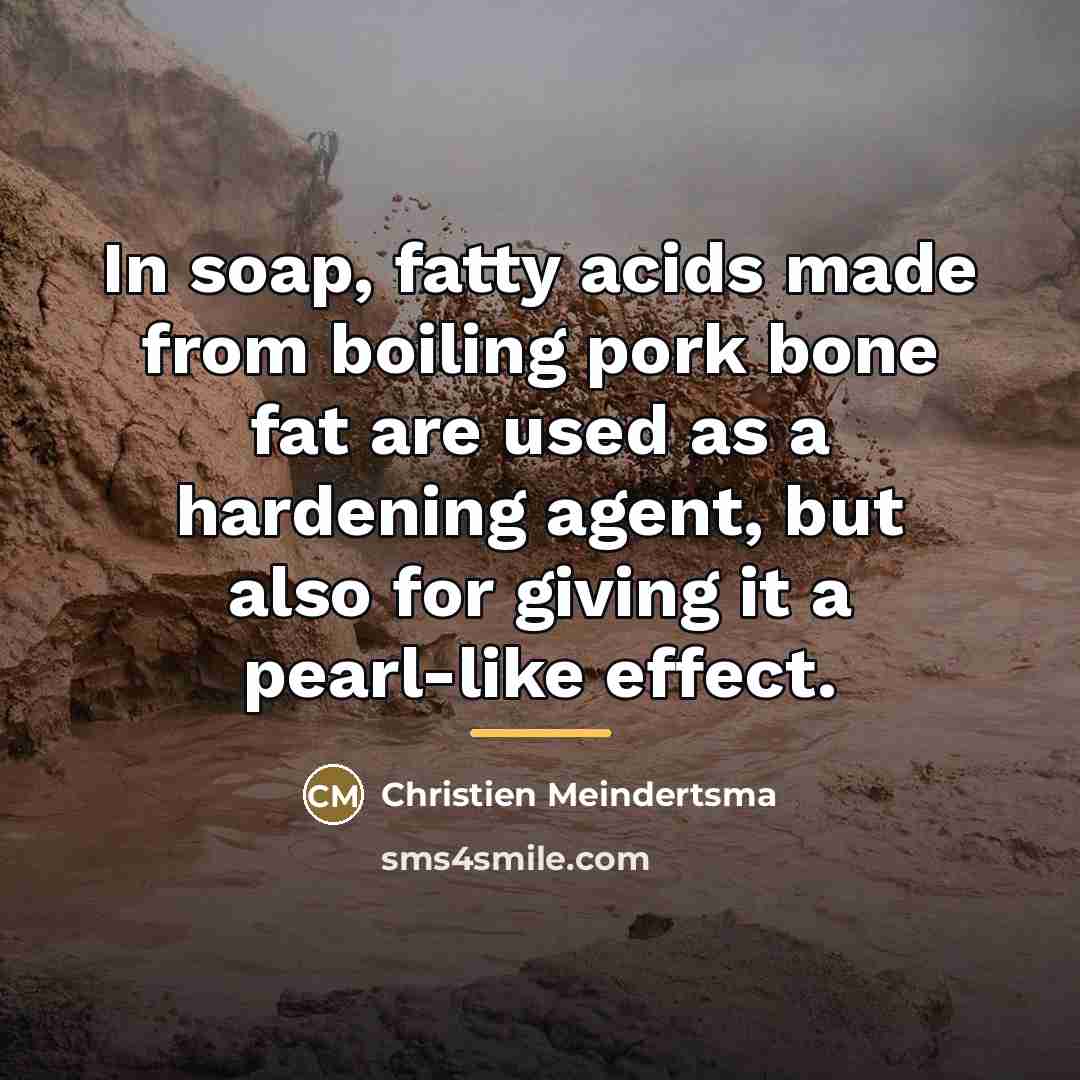 “In soap, fatty acids made from boiling pork bone fat…” quote by Christien Meindertsma