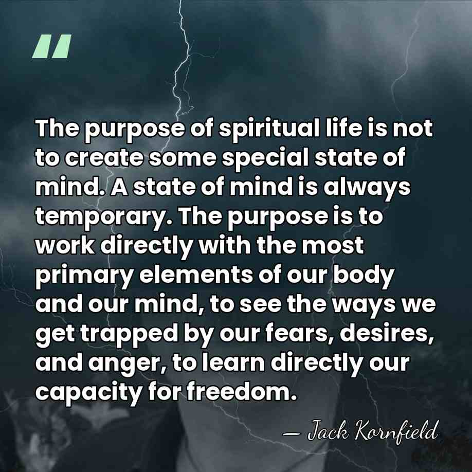The purpose of spiritual life is not to create some special state&hellip; - Jack Kornfield