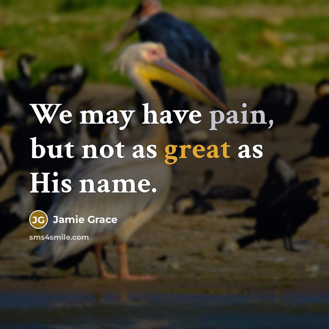 “We may have pain, but not as great as His…” quote by Jamie Grace