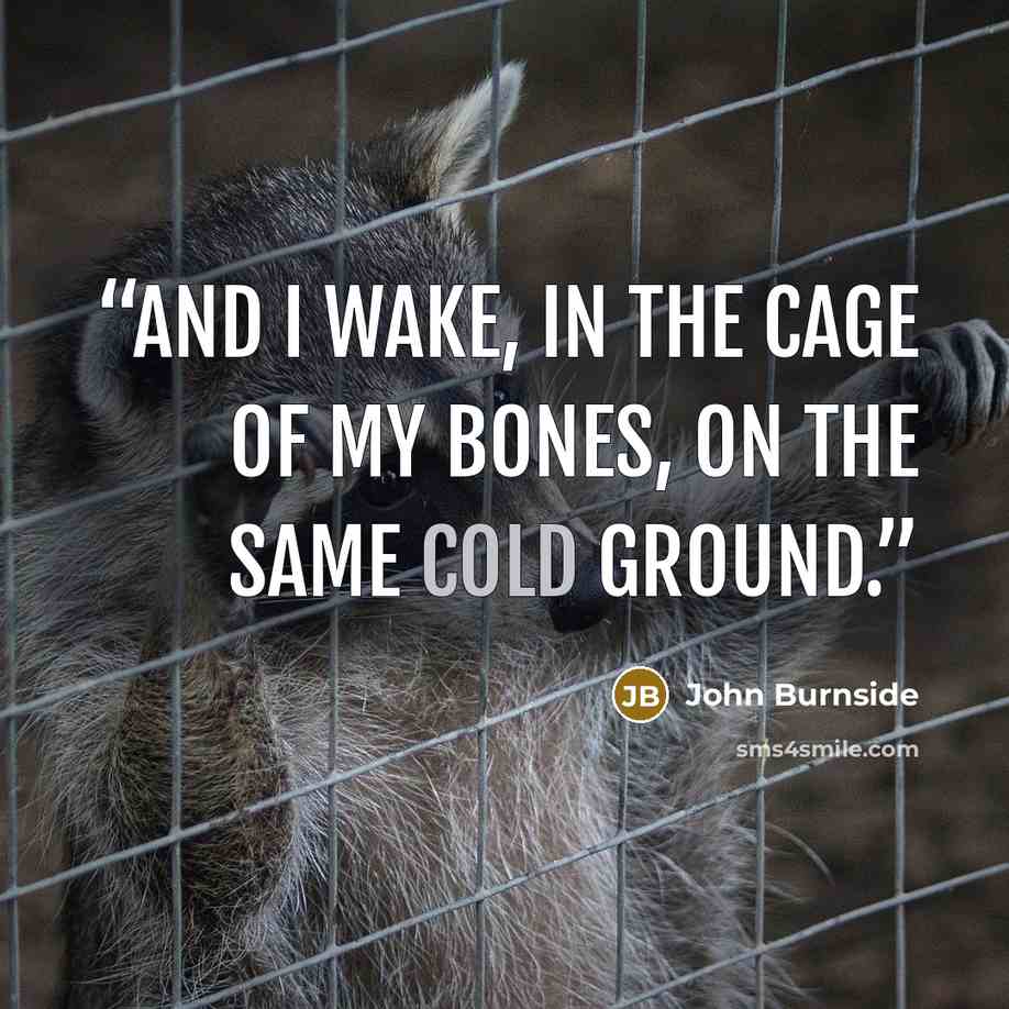 “And I wake, in the cage of my bones, on the same cold ground.” quote by John Burnside