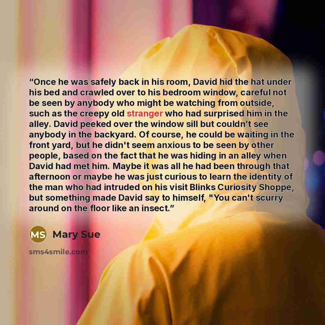 “Once he was safely back in his room, David hid the hat under his bed and crawled over to his bedroom window, careful not be seen by anybody who might be watching from outside, such as the creepy old stranger who had surprised him in the alley. David peeked over the window sill but couldn’t see…” quote by Mary Sue
