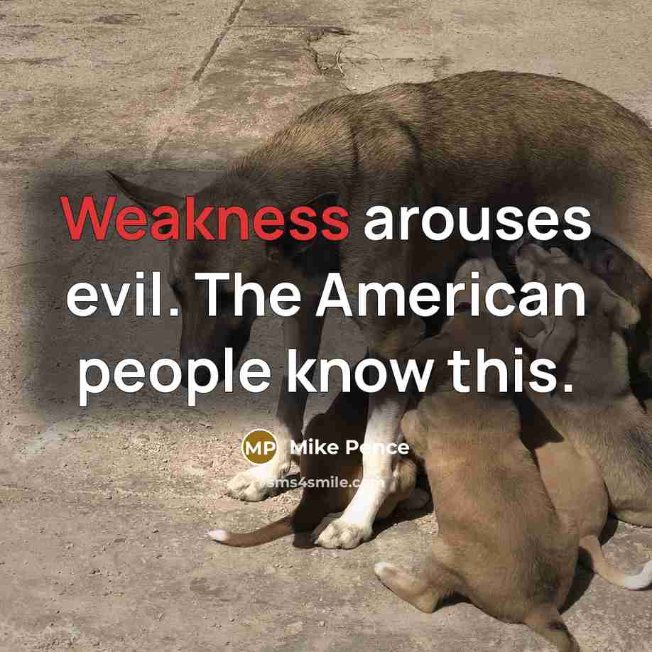 “Weakness arouses evil. The American people know this.…” quote by Mike Pence